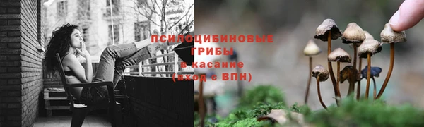 молекула духа Белоозёрский