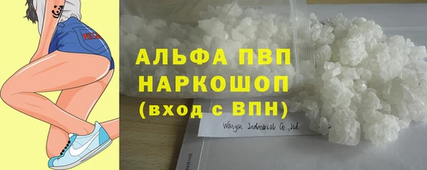 молекула духа Белоозёрский