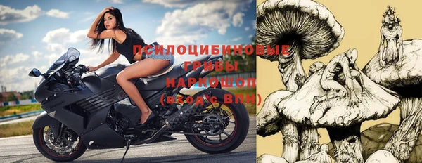 молекула духа Белоозёрский
