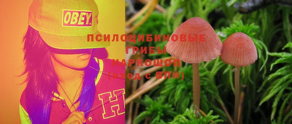 гидра Беломорск
