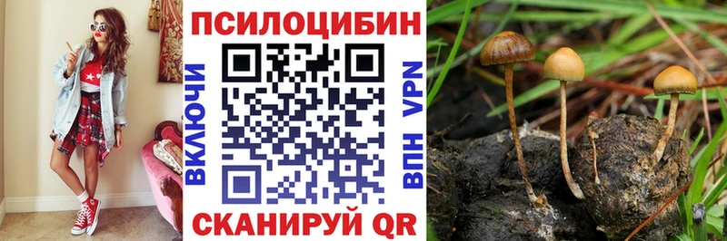 Галлюциногенные грибы GOLDEN TEACHER  Семикаракорск 